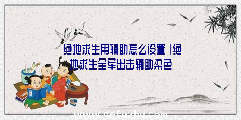 「绝地求生用辅助怎么设置」|绝地求生全军出击辅助染色